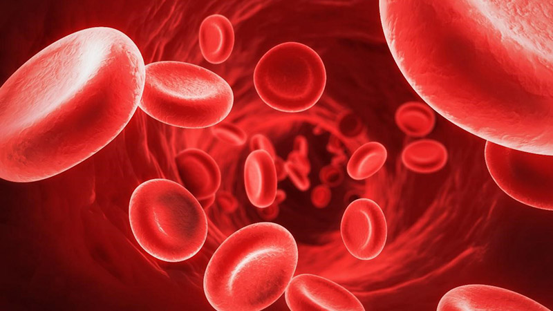 男性缺铁性贫血是怎么造成的原因有哪些症状